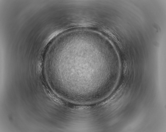 X0000112821163200908211159