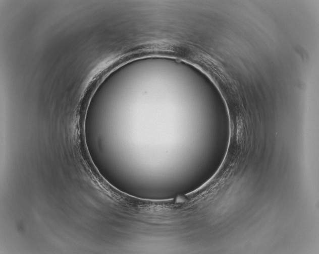 X0000112821164200908211159