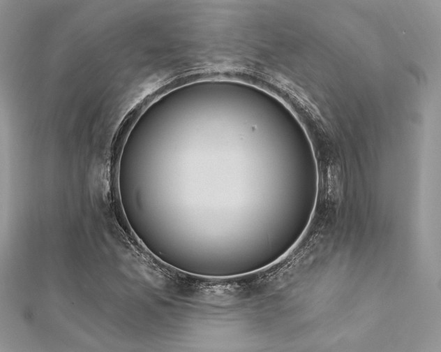 X0000112821165200908211159