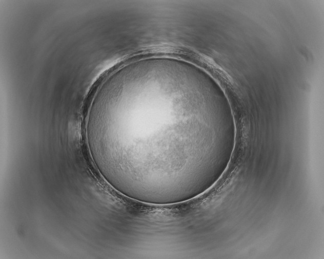 X0000112821166200908211159