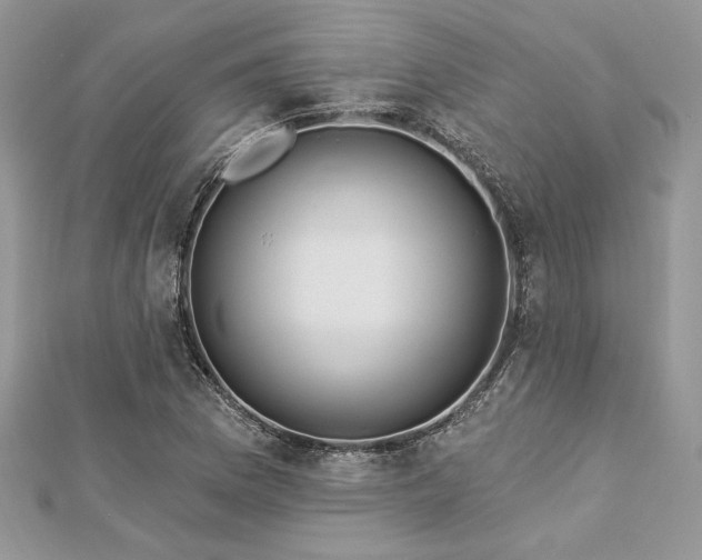 X0000112821169200908211159