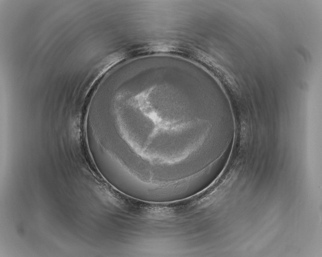 X0000112821170200908211159