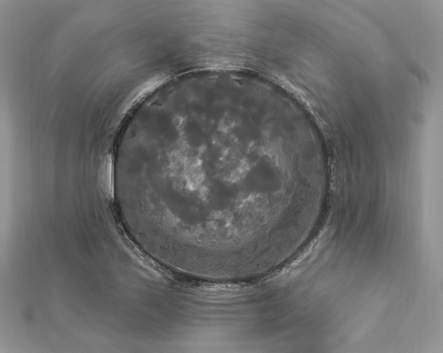 X0000112821171200908211159
