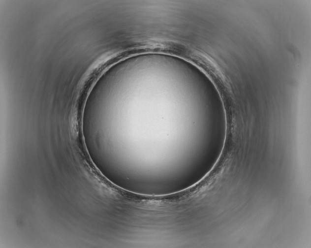 X0000112821172200908211159