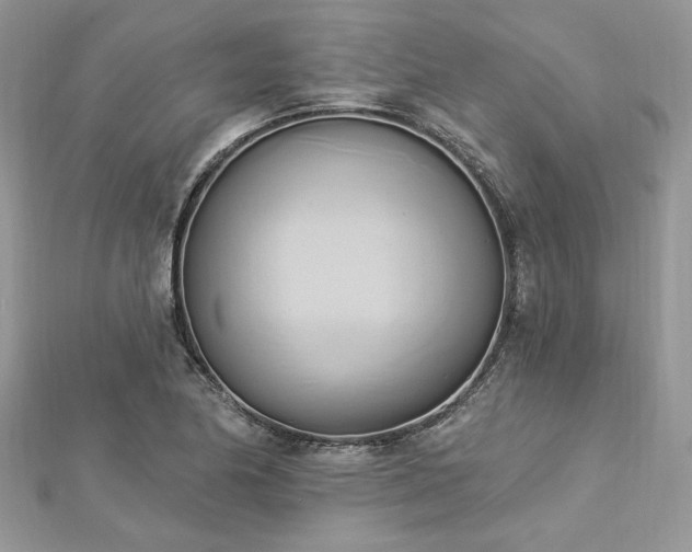 X0000112821174200908211159
