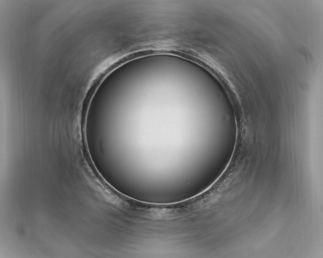 X0000112821176200908211159