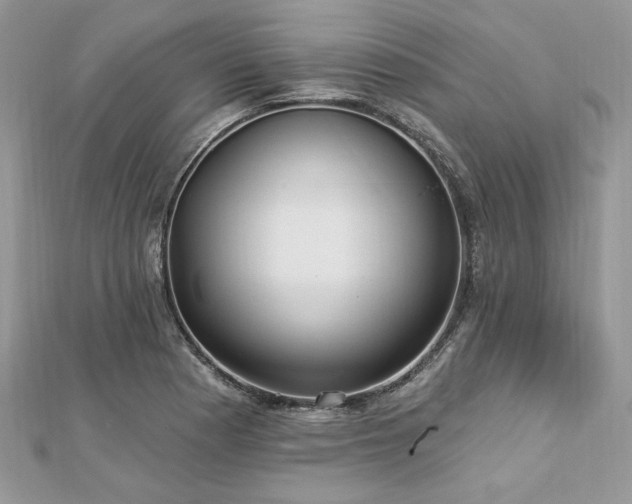X0000112821177200908211159