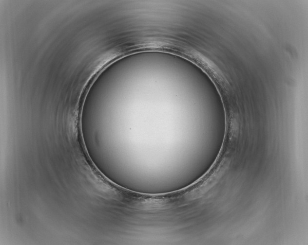 X0000112821178200908211159