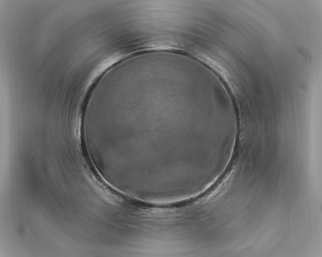 X0000112821179200908211159