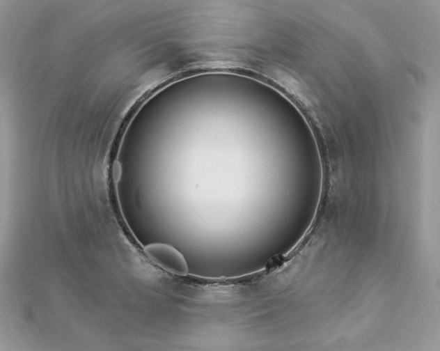 X0000112821181200908211159