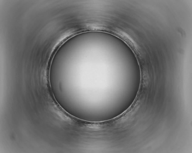X0000112821182200908211159