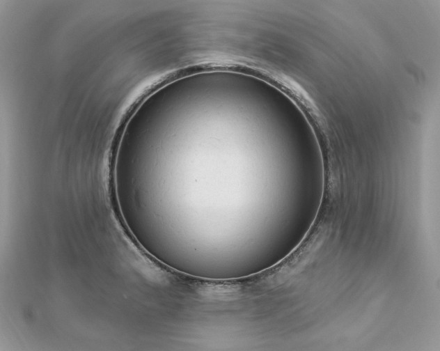 X0000112821183200908211159