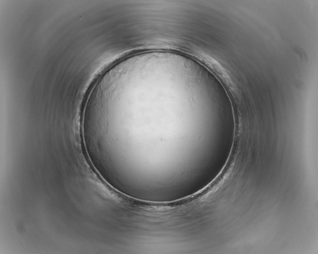 X0000112821184200908211159