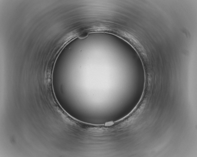 X0000112821185200908211159