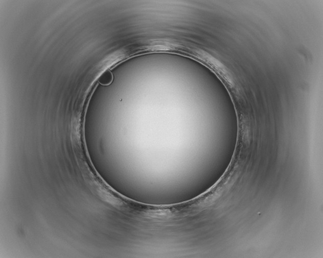 X0000112821186200908211159