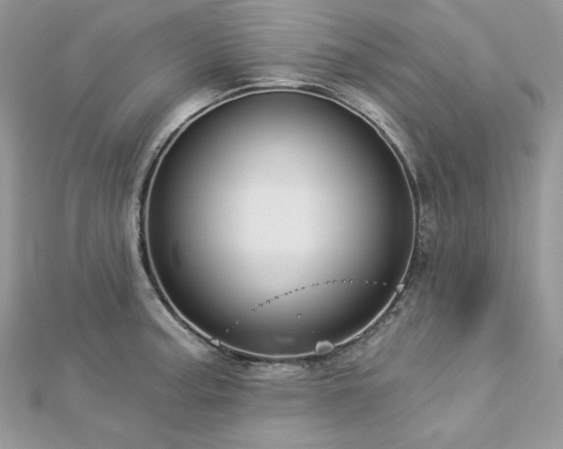 X0000112821187200908211159