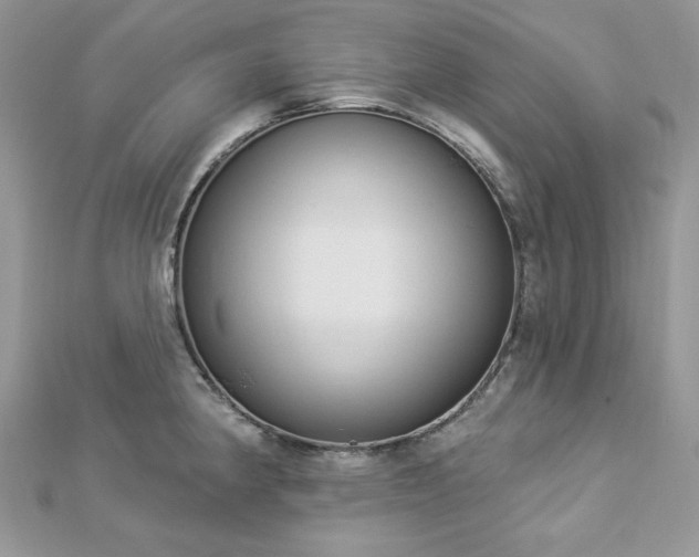 X0000112821190200908211159