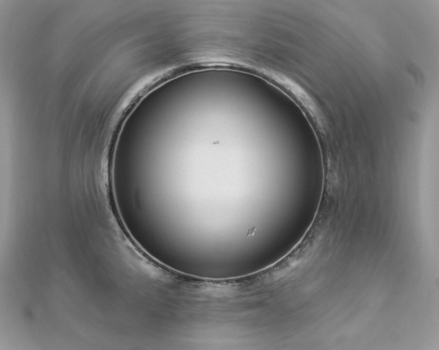 X0000112821191200908211159
