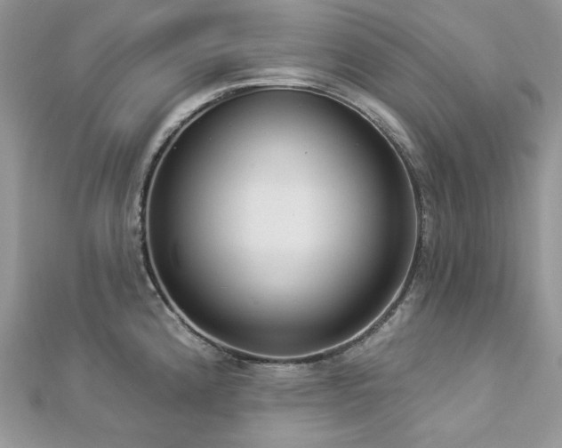 X0000112821192200908211159