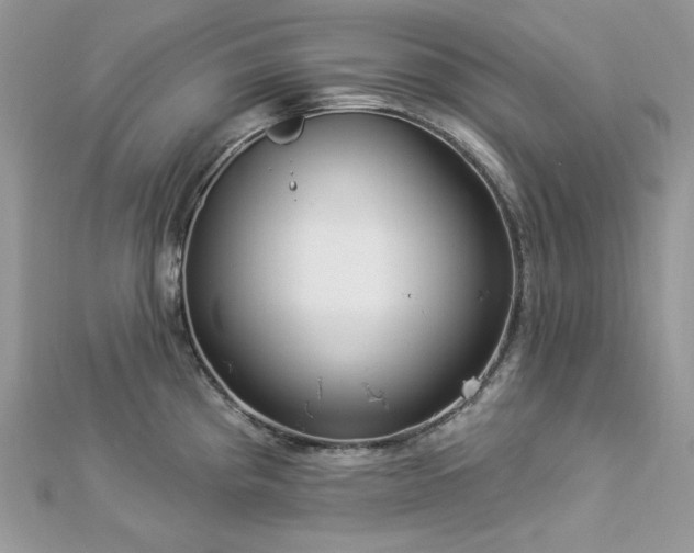 X0000112821193200908211159