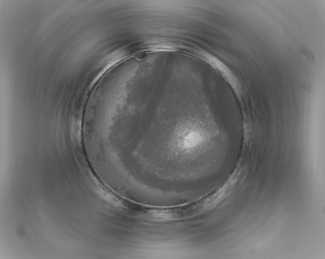 X0000112821194200908211159