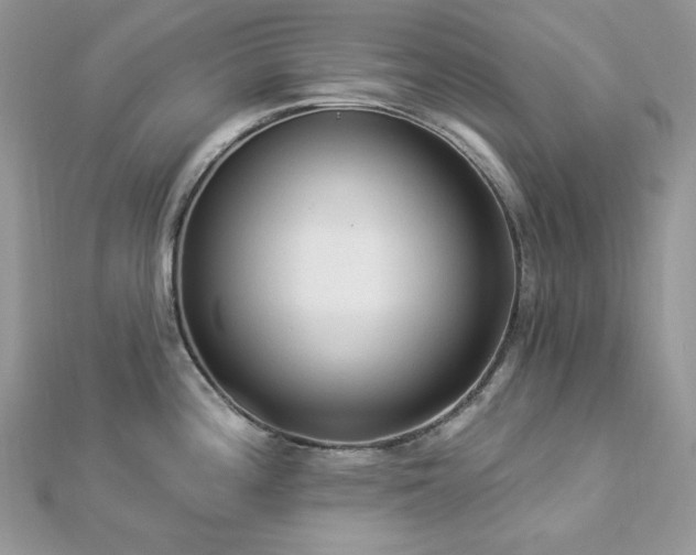 X0000112821196200908211159