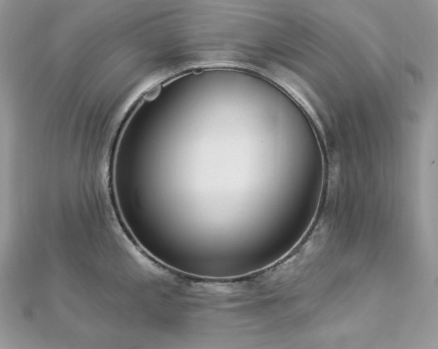 X0000112821197200908211159