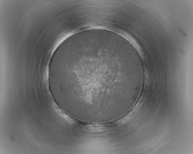 X0000112821198200908211159