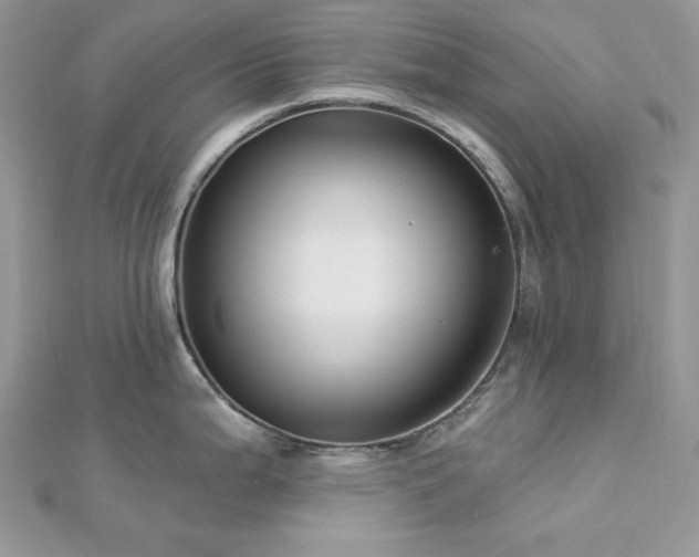 X0000112821199200908211159