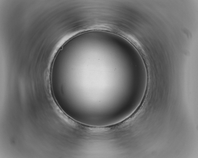 X0000112821200200908211159