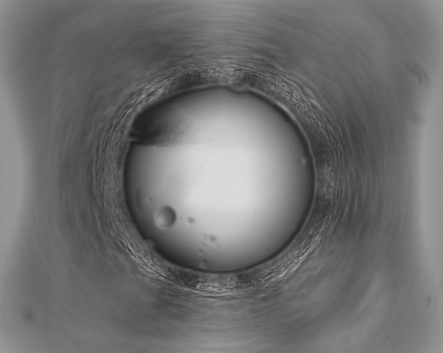 X0000112821201200908211158
