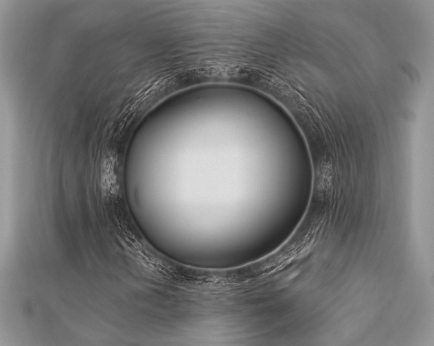 X0000112821202200908211158