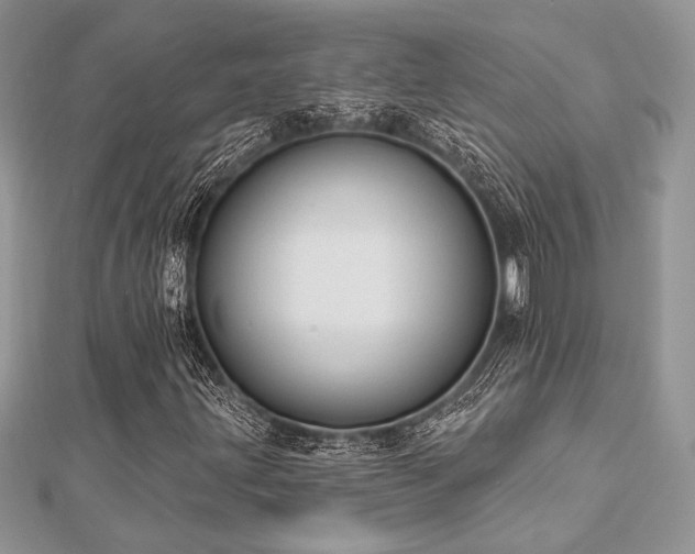 X0000112821203200908211158