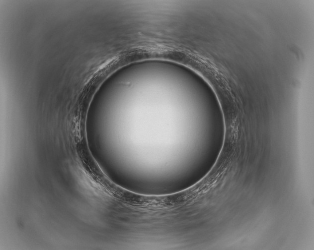 X0000112821205200908211158
