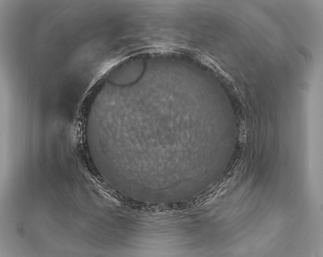X0000112821208200908211158