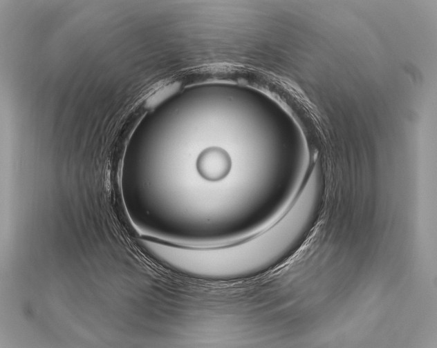 X0000112821209200908211158