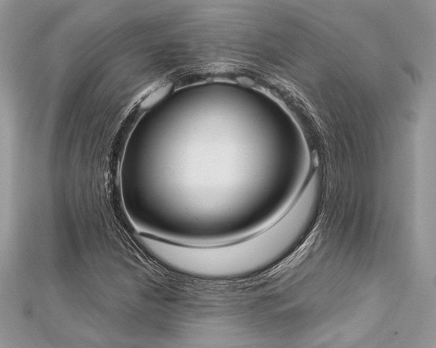 X0000112821210200908211158
