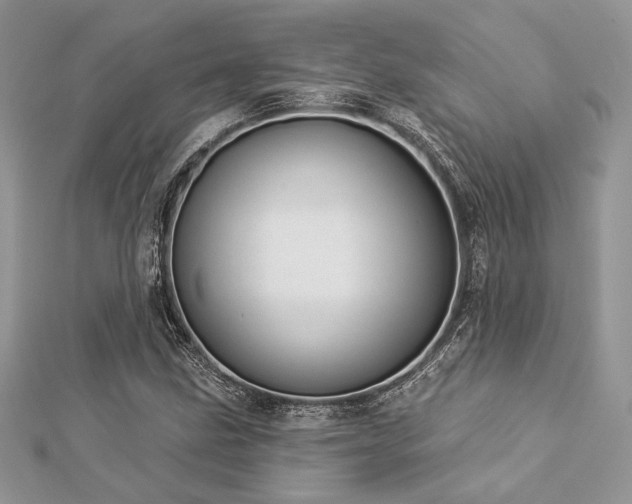X0000112821211200908211158