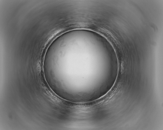 X0000112821212200908211158