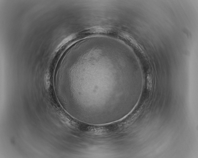 X0000112821213200908211158