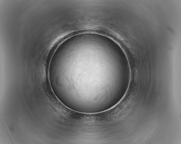 X0000112821214200908211158