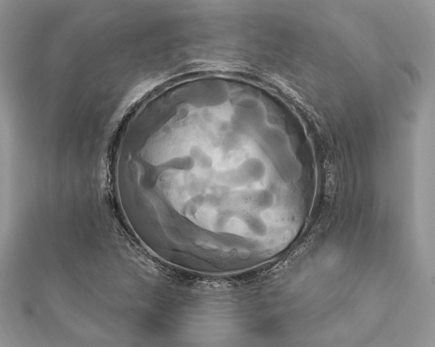 X0000112821215200908211158