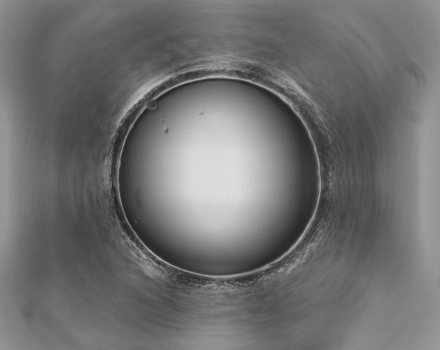 X0000112821216200908211158