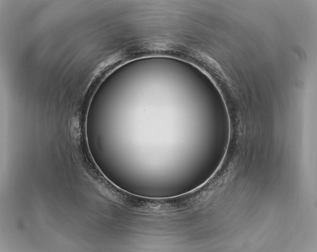 X0000112821218200908211158