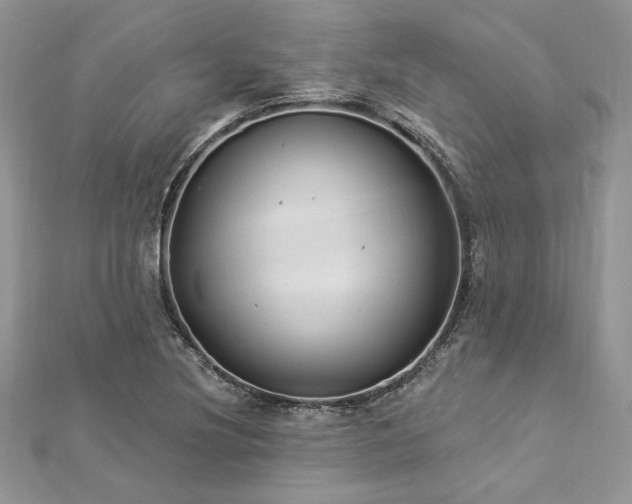 X0000112821220200908211158