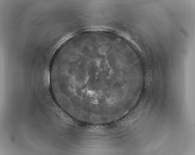 X0000112821221200908211158