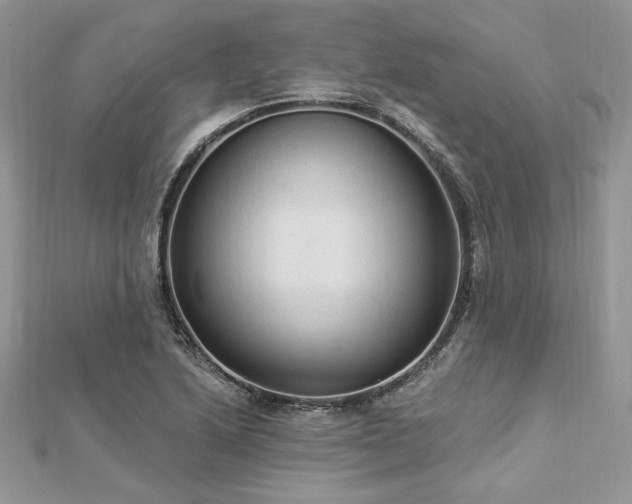 X0000112821222200908211158