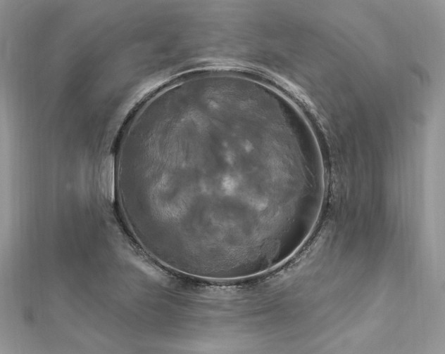 X0000112821223200908211158