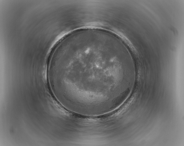 X0000112821224200908211158