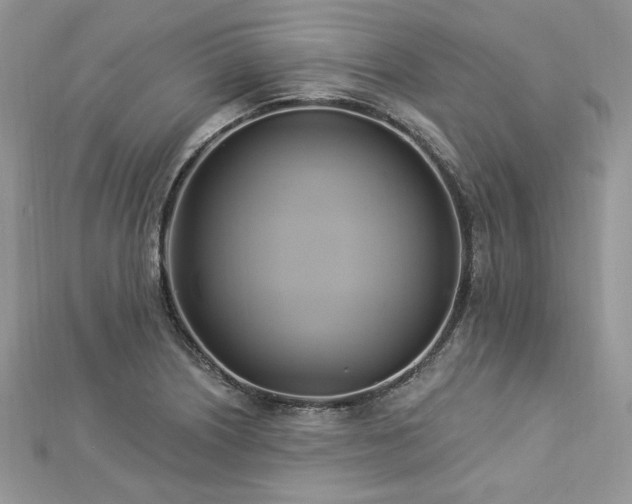X0000112821226200908211159